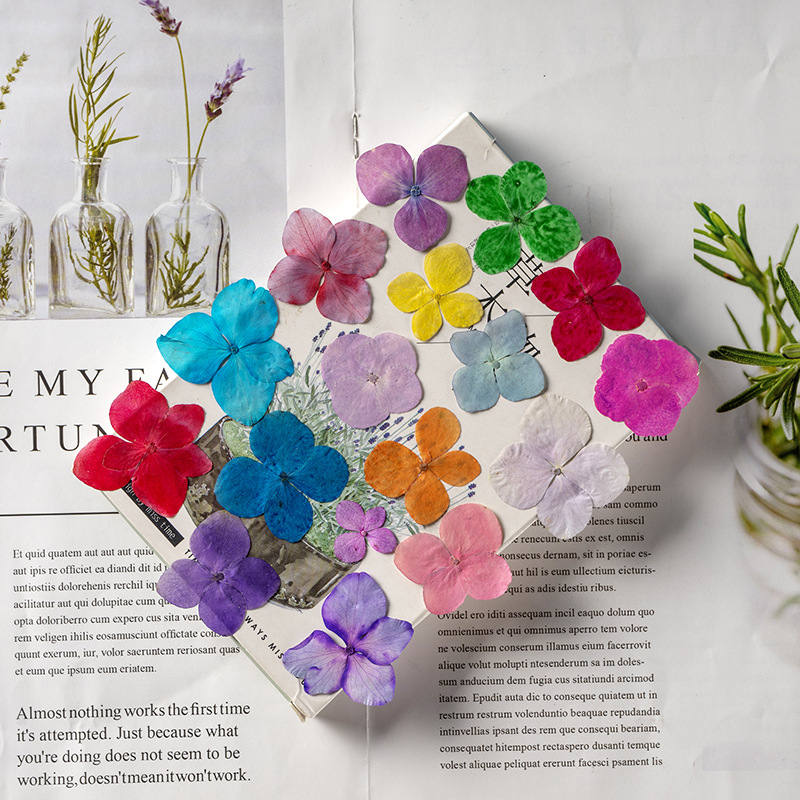 60Pcs Anna Hydrangea Color-Abs - Dried Flower Bookmark review and price