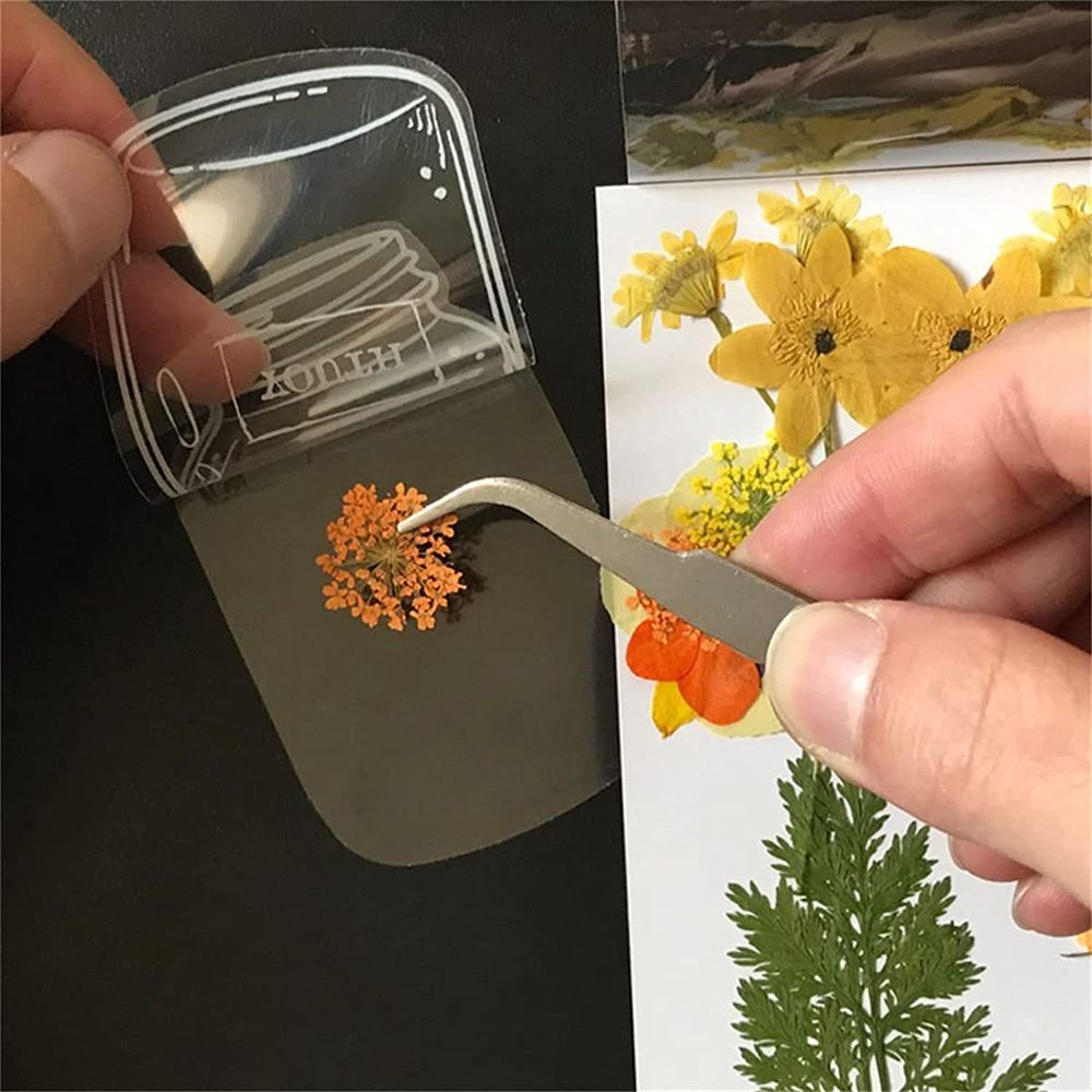 30Pcs Handmade DIY Transparent - Dried Flower Bookmark review and price