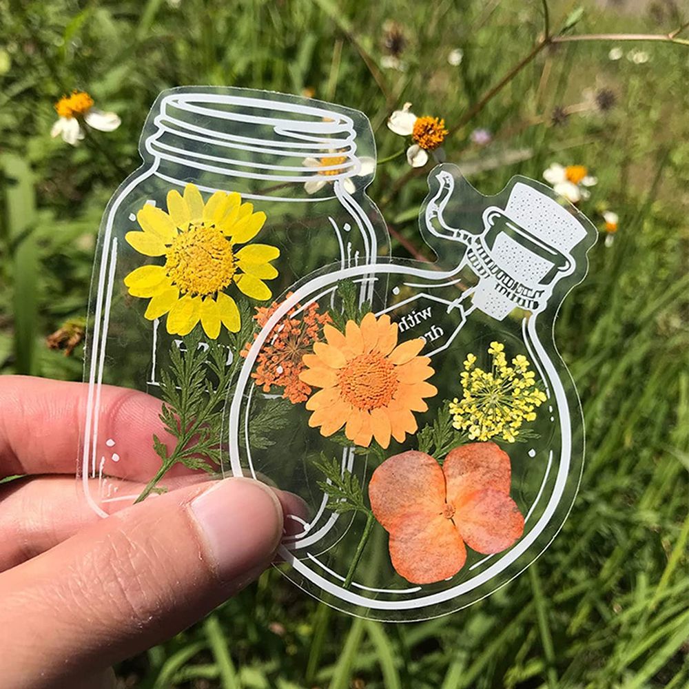 30Pcs Handmade DIY Transparent - Dried Flower Bookmark review and price