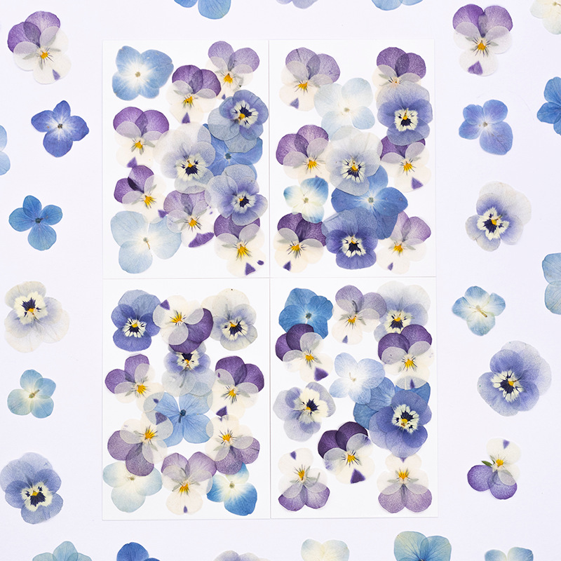 12pcs,Real Viola Cornuta Press - Dried Flower Bookmark review and price
