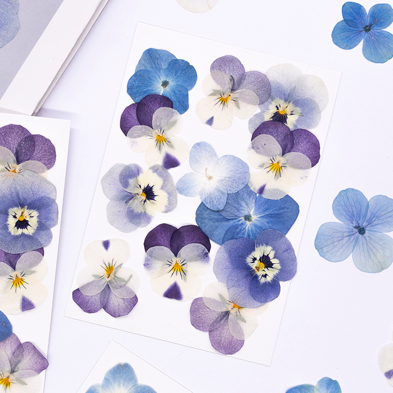 12pcs,Real Viola Cornuta Press - Dried Flower Bookmark review and price