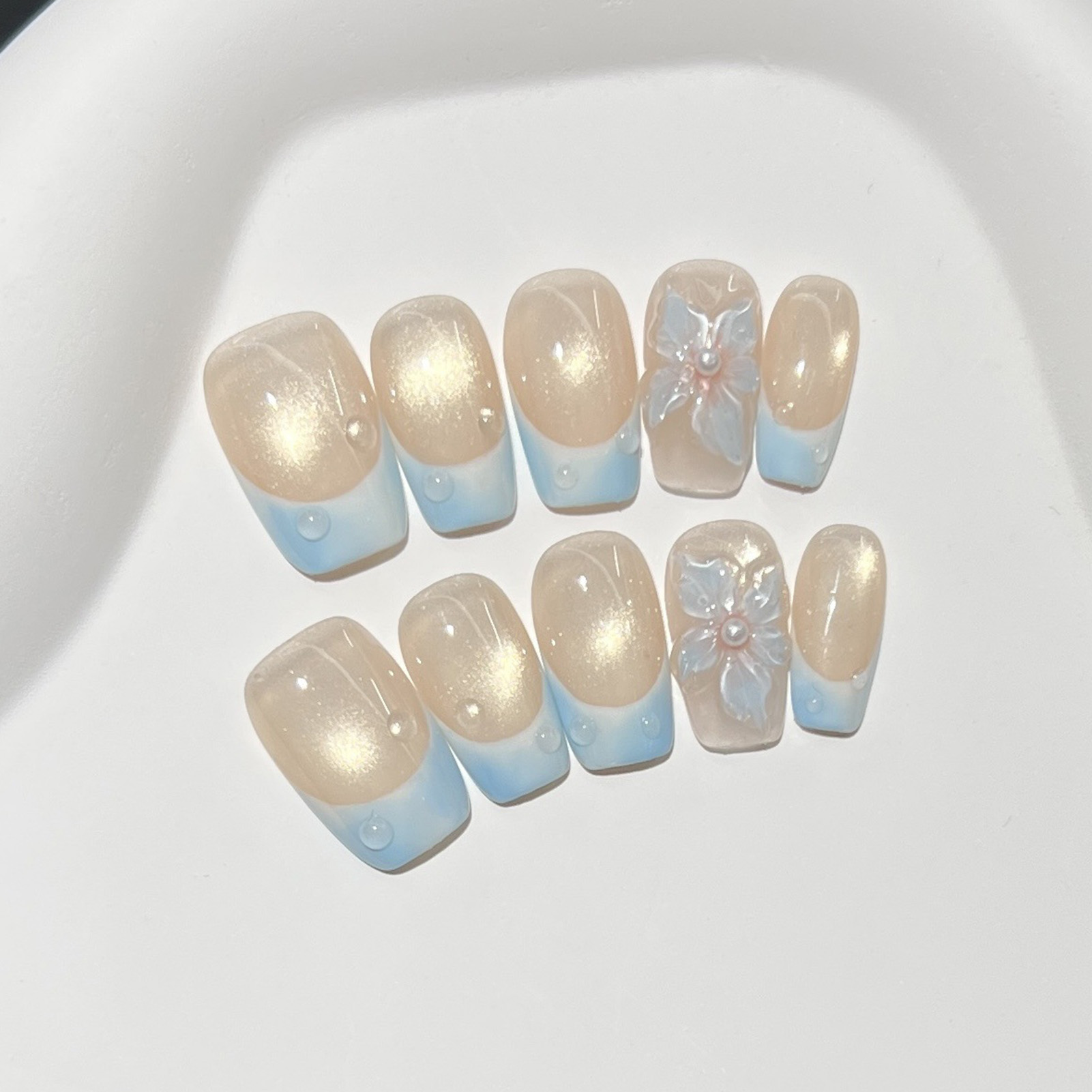 10pcs French Blue Glossy Flora - Pressed Flower Art review and price