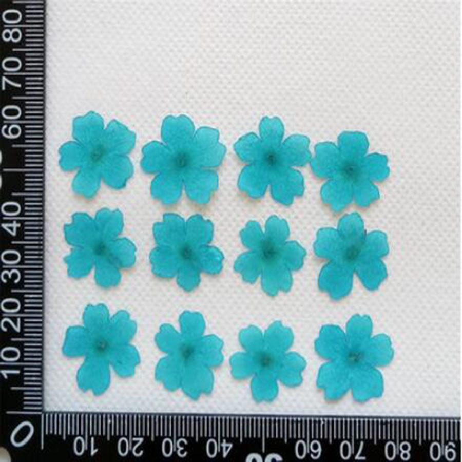 60pcs 1-2cm Pressed Dried Dyed - Dried Flower Bookmark review and price