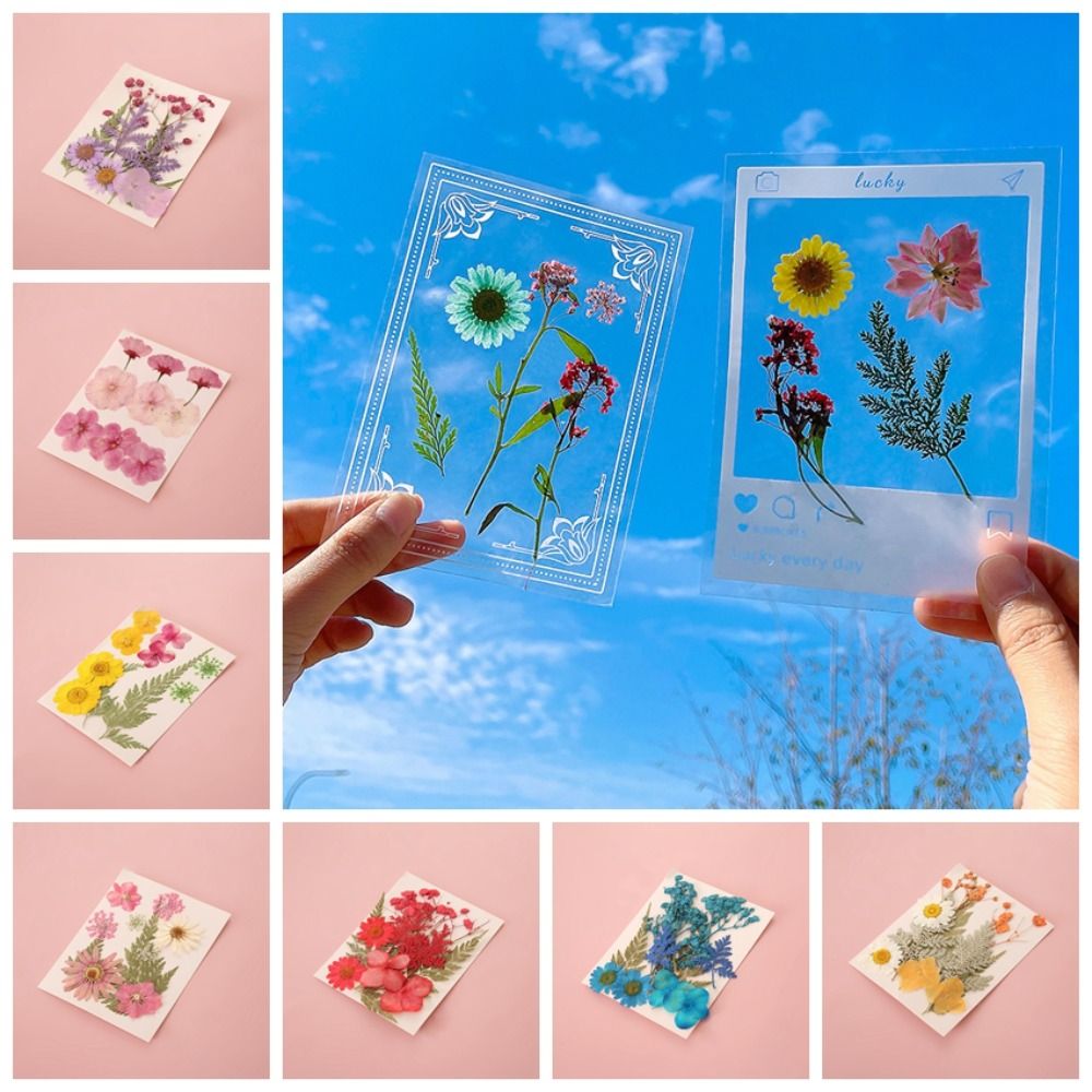 DIY Materials DIY Dried Flower - Dried Flower Bookmark review and price