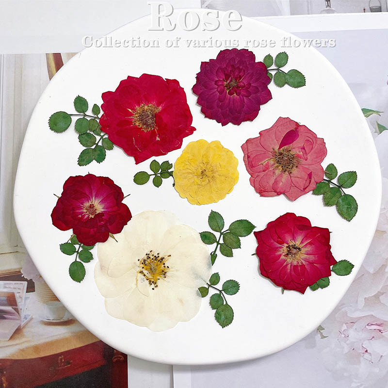 60pcs Pressed Dried Red Yellow - Dried Flower Bookmark review and price