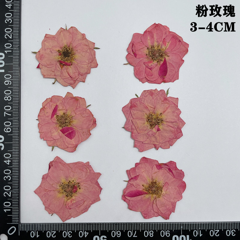 60pcs Pressed Dried Red Yellow - Dried Flower Bookmark review and price