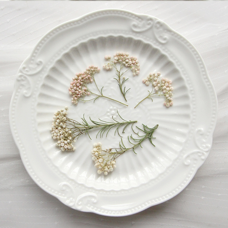 12pcs, Nature Millet Flower Br - Dried Flower Bookmark review and price
