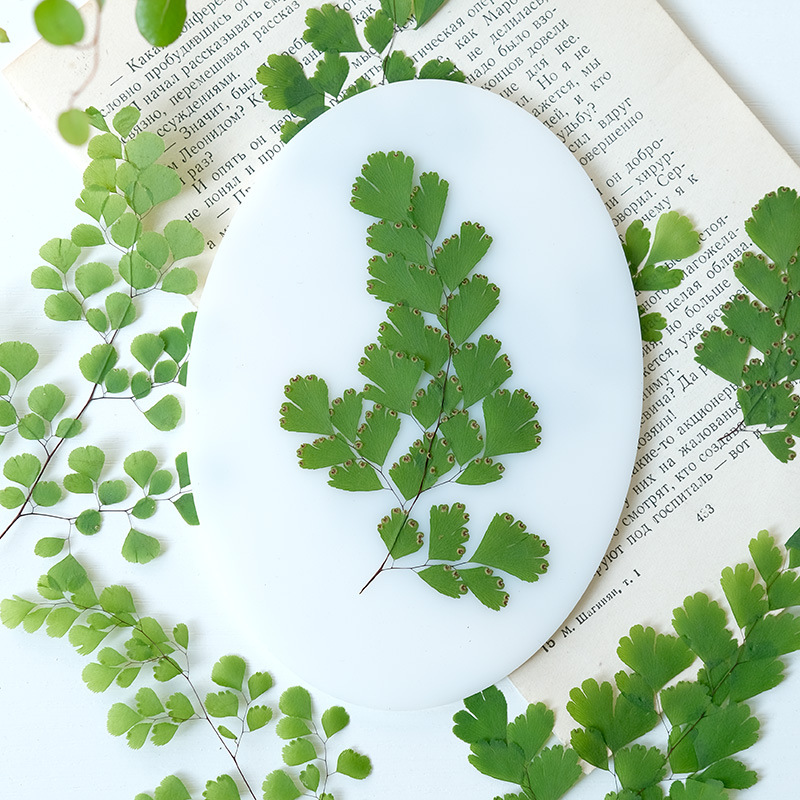 60Pcs Natural Plant Real Flowe - Dried Flower Bookmark review and price