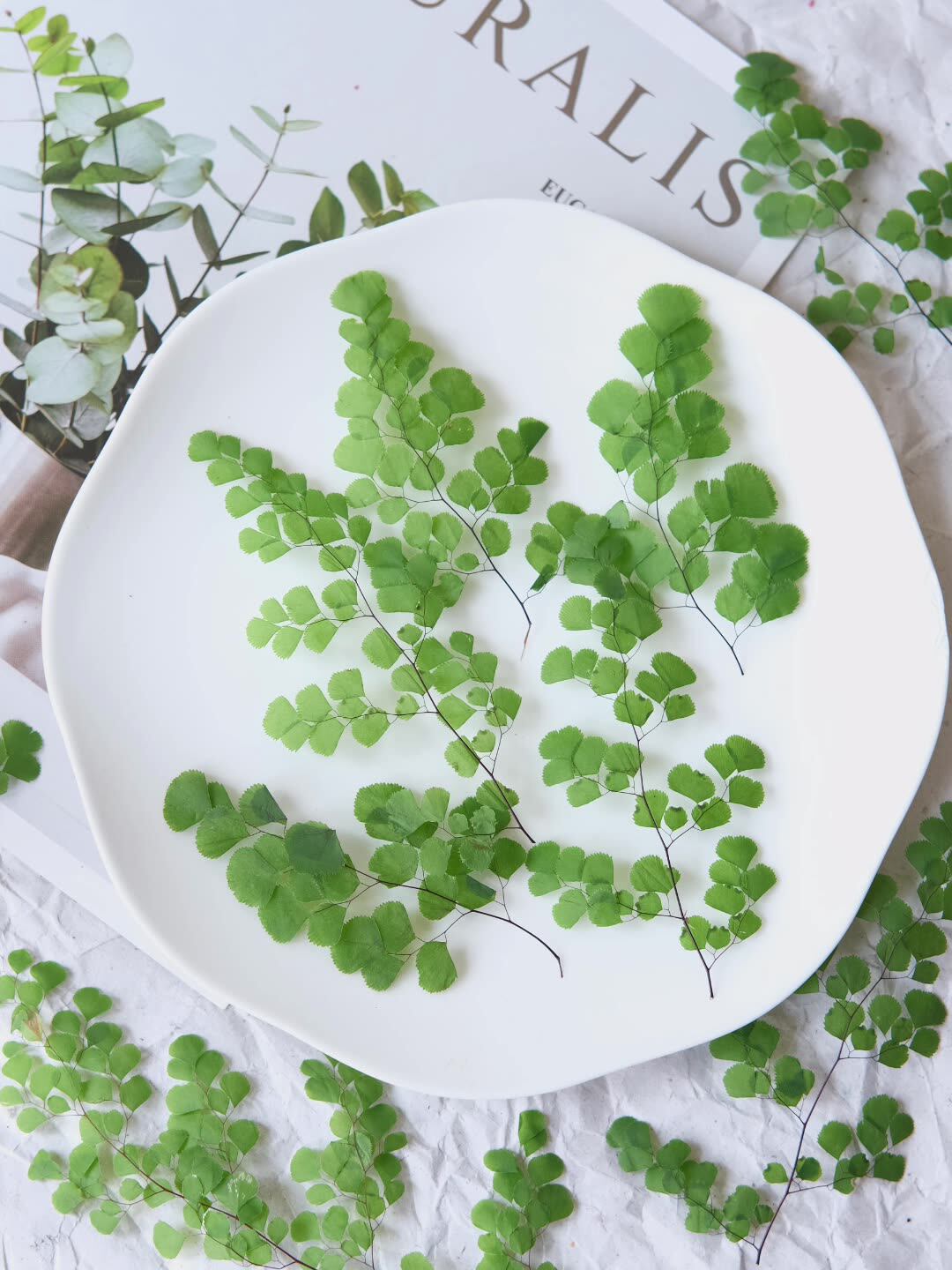 60Pcs Natural Plant Real Flowe - Dried Flower Bookmark review and price