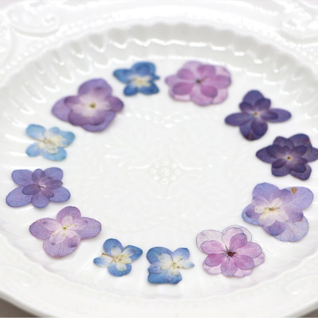 60Pcs Mini Double-Flowered Hyd - Dried Flower Bookmark review and price