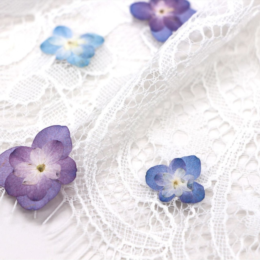 60Pcs Mini Double-Flowered Hyd - Dried Flower Bookmark review and price