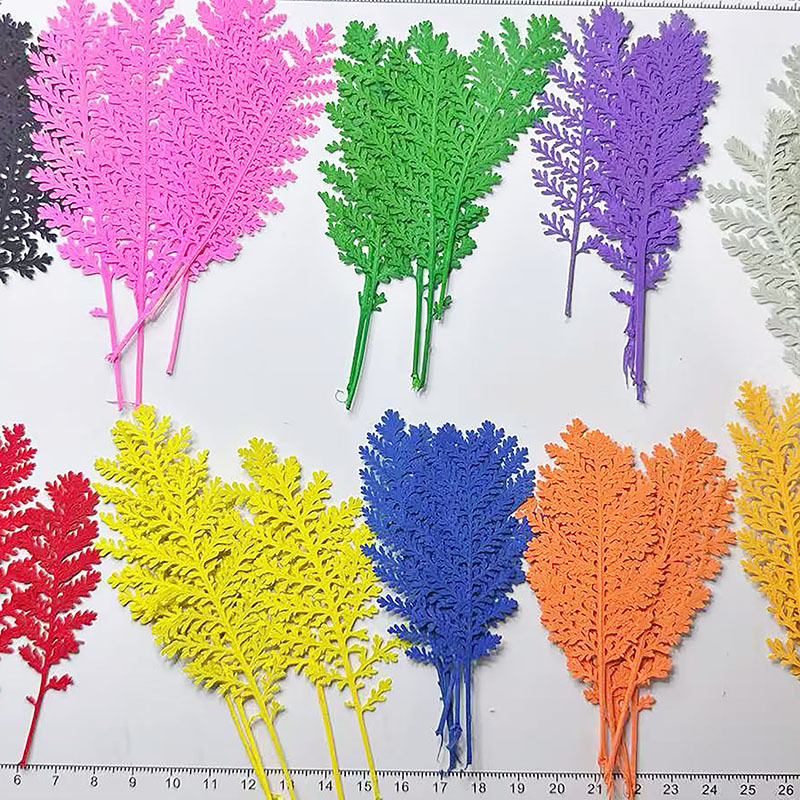 100Pcs Natural Silver Feather  - Dried Flower Bookmark review and price