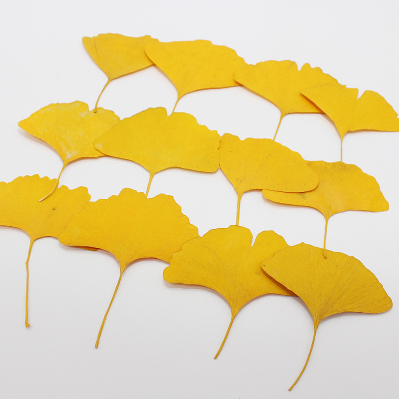 60pcs Pressed Dried Yellow/Gre - Dried Flower Bookmark review and price